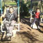 Erol