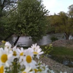Sezen
