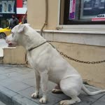 Eray