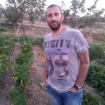 Tayfun