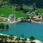 Recep