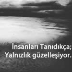 Nazife