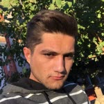 Şahin
