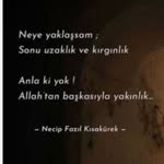 Profil fotoğrafı