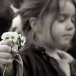 Sibel