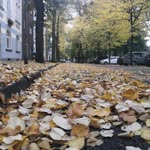 Profil fotoğrafı