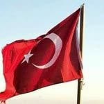 Halil
