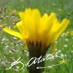 Sazkara