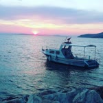 Koray