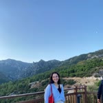 Buse