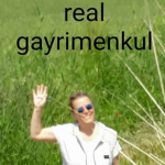 Gönül