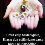 Tayfun