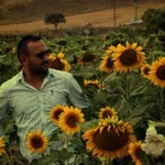 Şahin