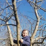 Kubilay