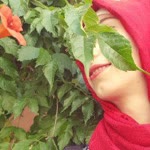 Filiz