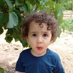 Erol