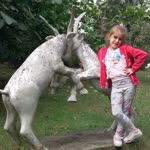 Halil
