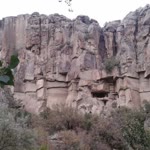 Servet