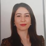 Sezgi