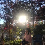 Elif
