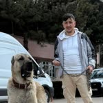 Halil