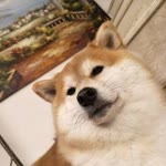 Fat