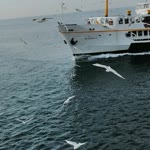 Sinan