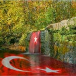 Ferit