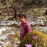 Şevket