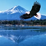 Salih