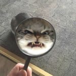 Nilay