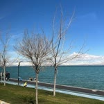 Samet