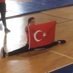 Gönül