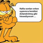 Kamil
