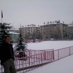 Arif