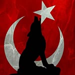 Samet