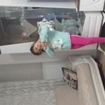 Nisa
