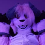 Kaya