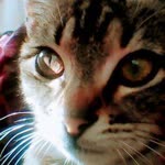 Esma