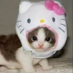 Melek