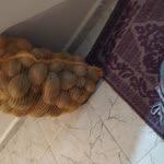 Kübra
