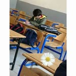 Bayram