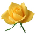Ahmed