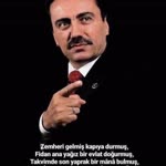 Doğan