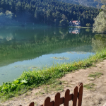 Büşra