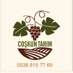 Coşkun