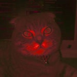 Orhan