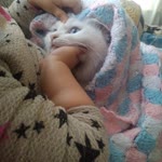 Elif