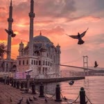 Mustafa