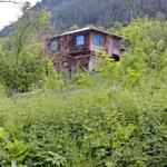 Fikriye